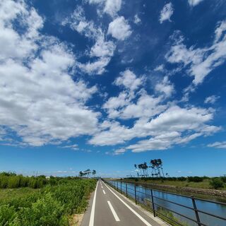 のんびり　自転車仲間　募集 - 仙台市