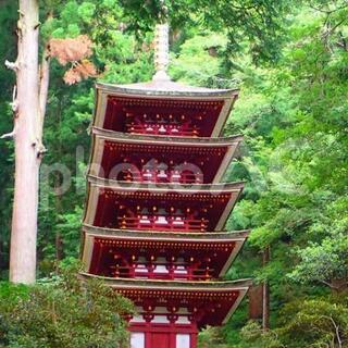 公開ハイキング　室生寺・大野寺