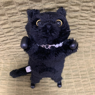 【お渡し決定】新品外箱付き★iPhoneカバー　ZOOPY  黒猫