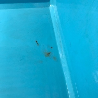 FRP大型水槽