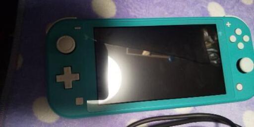 その他 Nintendo Switch Lite