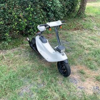 ズーク ZOOK 原付 バイク 50cc 車体 バイク