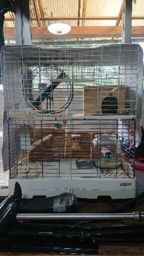 家庭用小動物用のゲージ