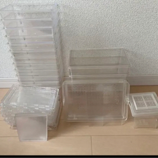 ❗️本日で出品終了致します❗️クワガタ　引退品　❗️他サイトにも掲載中❗️