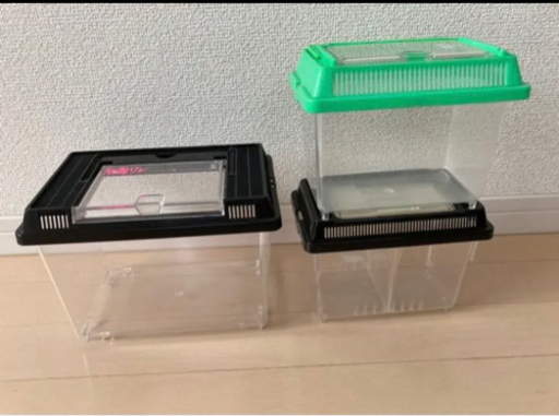 ❗️本日で出品終了致します❗️クワガタ　引退品　❗️他サイトにも掲載中❗️
