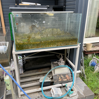 ガラス水槽×水槽台コトブキレグラス900×450×450