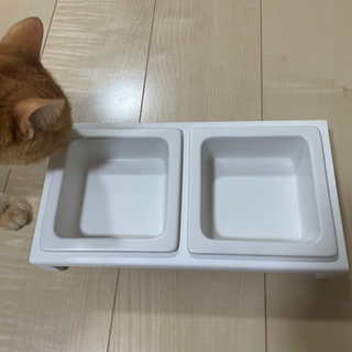 【ネット決済】猫　犬　エサ入れ　キャットフード入れ　ドッグフード入れ