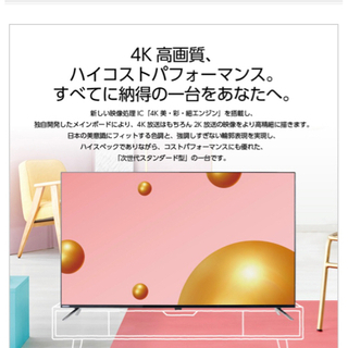 【ネット決済】ORION 55型　4Kテレビ　