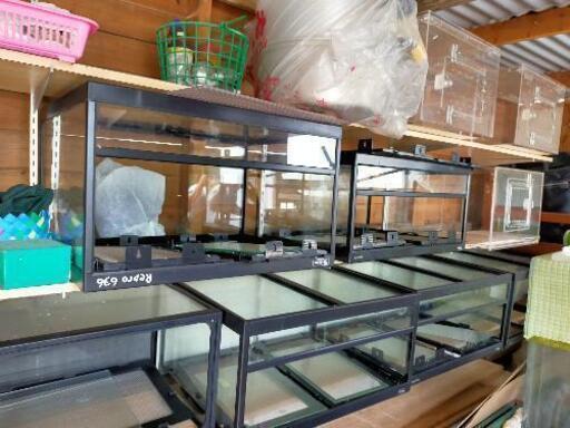 爬虫類ケージ　まとめ売り