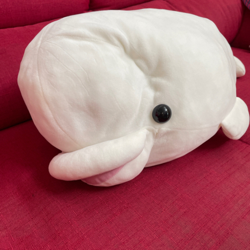 ニトリのうさぎぬいぐるみ 抱き枕 セット お値下げ 猫キュー 赤嶺のおもちゃの中古あげます 譲ります ジモティーで不用品の処分