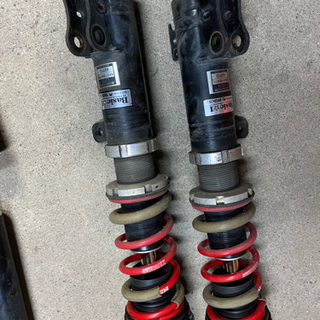 TNT イチジクの挿木苗 TNT 苗 挿し木 イチジク