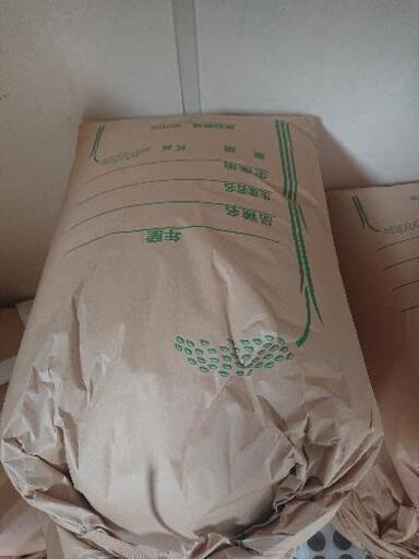 米 丹波コシヒカリ 30キロ 玄米