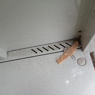 物置 カギ有り 開閉やや滑りが悪いです 【公式通販】