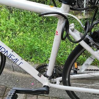 LOUIS GARNEAU クロスバイク白 シャッセ(CHASSE)