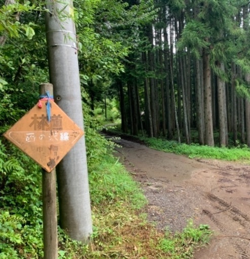 沢隣接の山林 プライベートキャンプにいかがでしょう 都内から1時間半 てむたむ 佐野の土地販売 土地 売買の不動産 住宅情報 無料掲載の掲示板 ジモティー