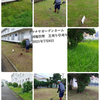 造園　緑地管理　外構一緒に働きませんか　所沢市 − 埼玉県