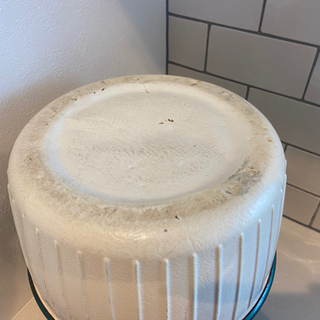 コールマン　ビンテージジャグ