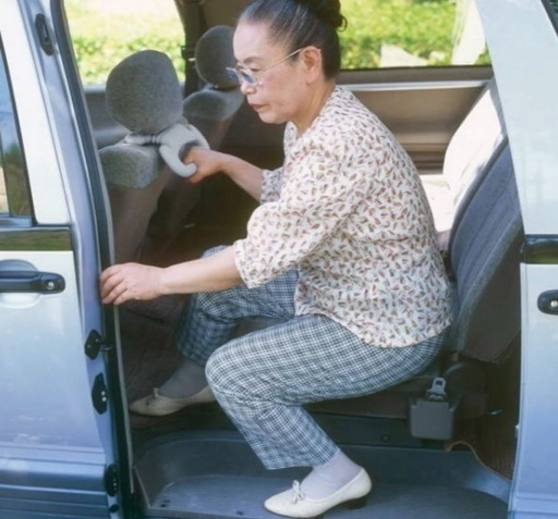 あんしん持ち手お年寄りやお子さんの車の乗り降りに ポリゴン 日向新富のその他の中古あげます 譲ります ジモティーで不用品の処分
