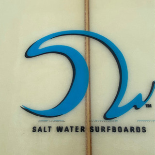サーフボード ロング SALT WATER