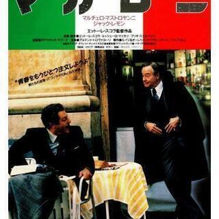 映画　マカロニ　VHS 　マルチェロ・マストロヤンニ＆ジャック・レモン
