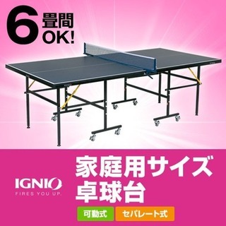 イグニオ IGNIO 卓球台 家庭用サイズ IG-2PG 0036