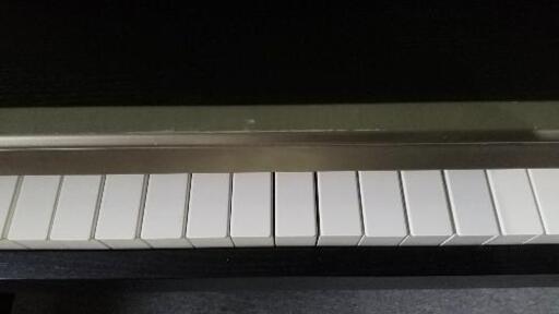 CASIO 電子ピアノPX-730BK | noonanwaste.com