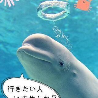 〆〖名古屋水族館〗その他連絡口