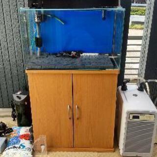 【ネット決済・配送可】海水魚飼育セット【水槽６０㎝ 】【クーラー...