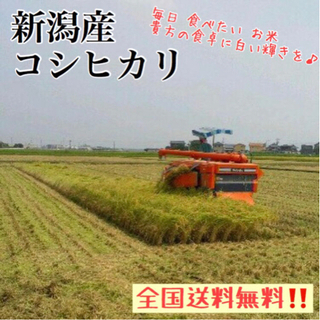 【ネット決済】【数量限定】2キロ新潟県産コシヒカリ 精米