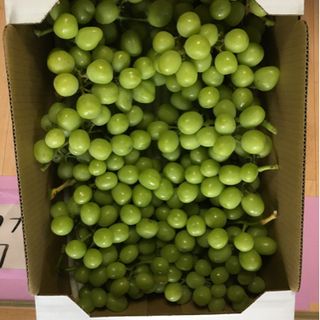 食品 シャインマスカット 箱入り5キロ 美品 最後の1箱になります。