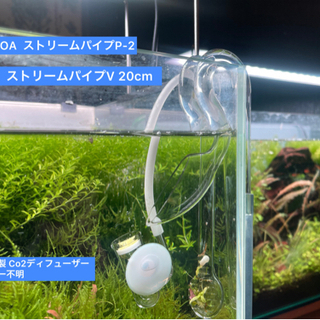 60cm水槽 フルセット 引き取りのみ | amidomil.com.br