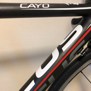 FOCUS CAYO 105 11速 ロードバイク