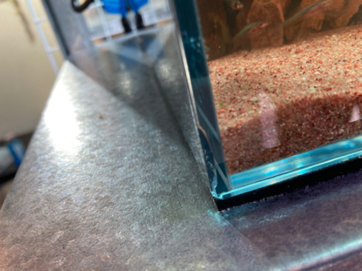 ☆杜のメダカメダカ・ベタ・その他鑑賞魚飼育にオススメ！ADA 
