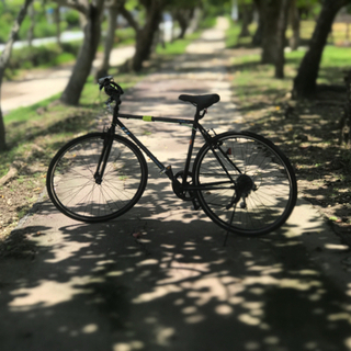 室内保管美品 自転車