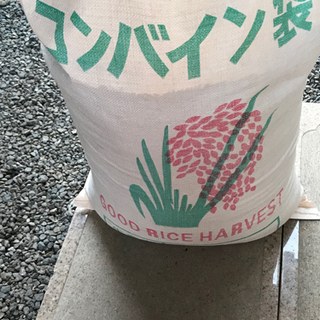 昨年のお米（古米）【かけ干しの収穫米】決まりました。