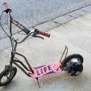 引取限定 キックボード