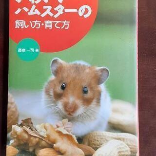 かわいいハムスターの飼い方、育て方