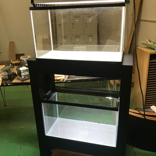 【水槽関連】水槽セット