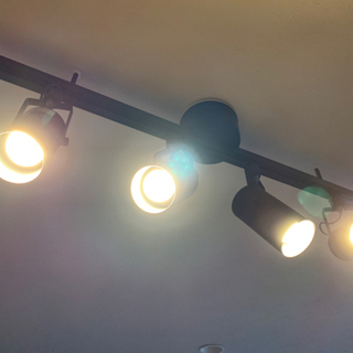 無印 スポットライト