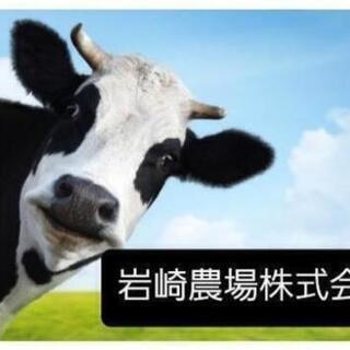 🐮主婦歓迎👧🏻 短期間、正社員募集