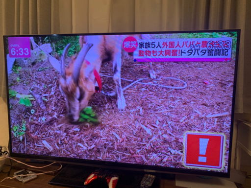TOSHIBA55インチ液晶テレビ