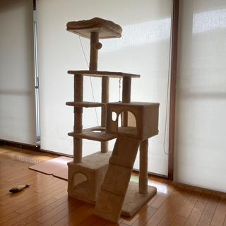 キャットタワー 猫タワー 麻紐 子猫 シニアも遊べる 段差あり