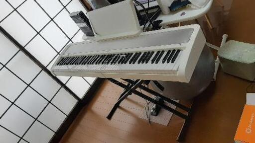 korg b1 白