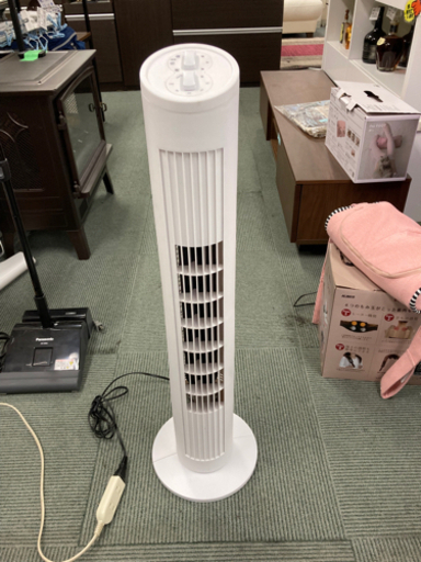 【✨2020年製✨がこの価格】エスケイジャパン タワーファン