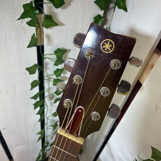 愛品館八千代店】YAMAHA FG-200グリーンラベル アコースティックギター