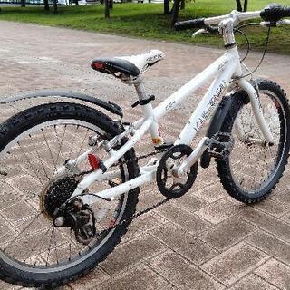 ルイガノ LGS-J206 ジュニア自転車 ホワイト 20インチ 2018 LOUIS GARNEAU / ルイガノ / LGS-J20 / 20インチ ジュニア