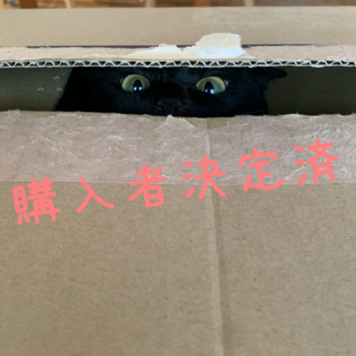 クリアランス 購入者決定 連絡用に残してあります。