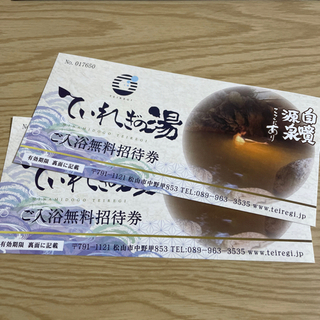 【ネット決済・配送可】愛媛県　ていれぎの湯　ペア入浴招待券