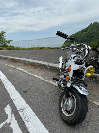 モンキー　88cc