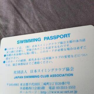 水泳初級個人レッスン - 所沢市